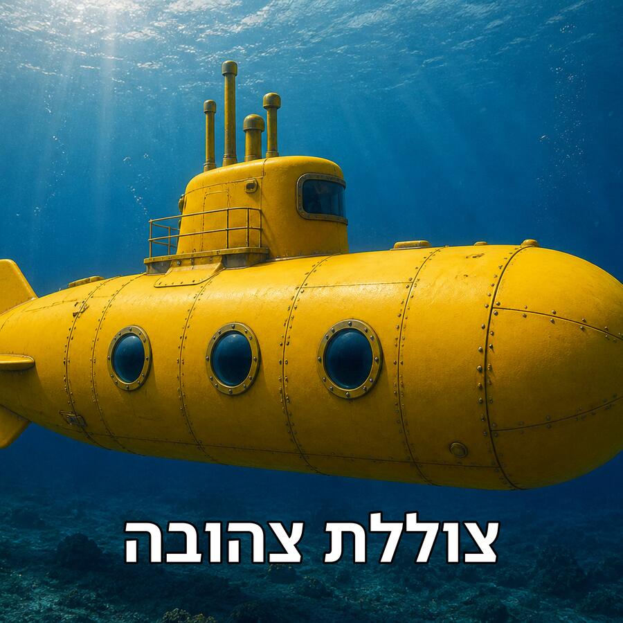 The Submarines project